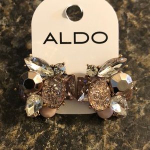NWT Aldo Malamocco Light Pink Earrings
